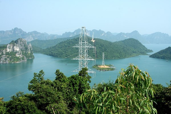 CTCP Xây lắp điện 1 muốn sở hữu chi phối Khoáng sản Tấn Phát