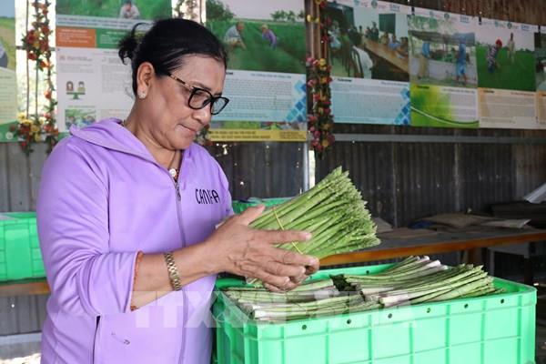 Nữ “thủ lĩnh” làm giàu trên vùng đất cát Ninh Thuận