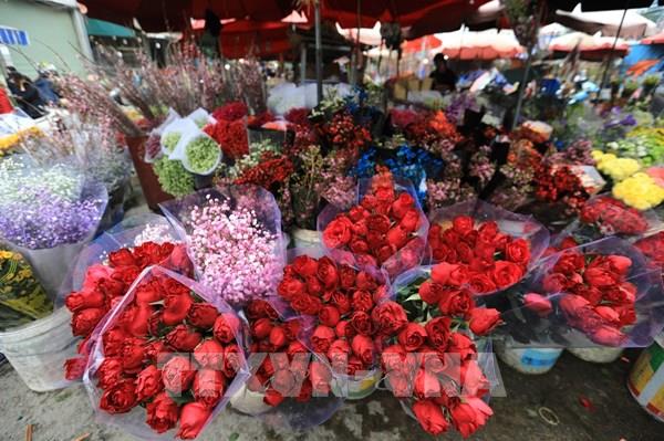 Hoa tươi cắt cành hút hàng dịp 8/3