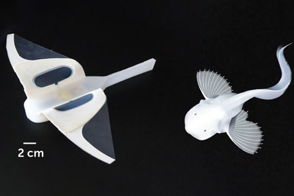 Trung Quốc phát triển robot thám hiểm dưới biển sâu gần 11.000m