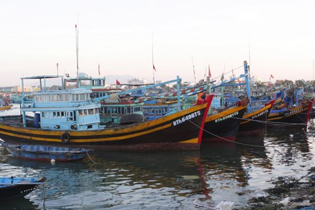 Không cho xuất bến tàu cá chưa lắp thiết bị giám sát hành trình