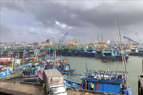  Nhiều tàu cá mất tín hiệu thiết bị giám sát hành trình