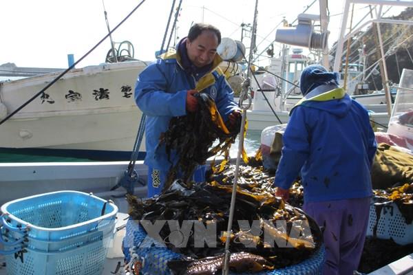 10 năm sau thảm họa động đất và sóng thần ở Nhật Bản