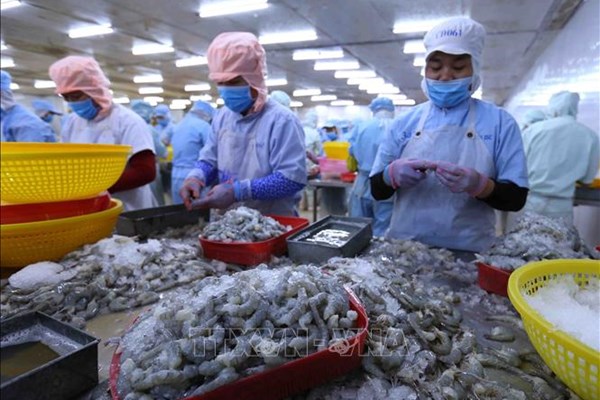 Tôm Việt giữ vị thế số 1 tại nhiều thị trường