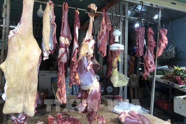 Ngành chức năng khuyến cáo: Bệnh viêm da nổi cục trên trâu bò không lây sang người