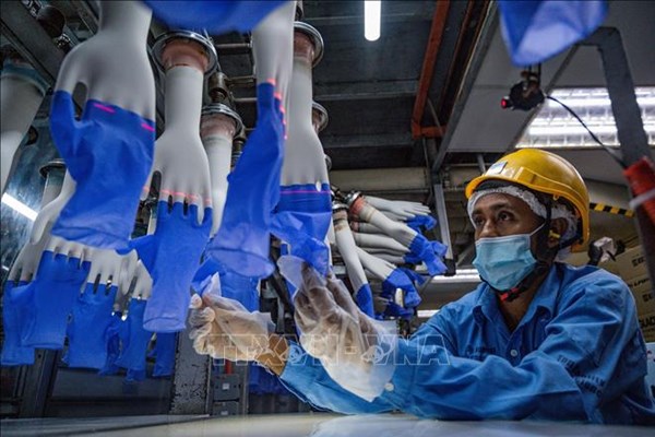 Nhu cầu găng tay cao su toàn cầu có thể vượt cung cho đến năm 2023