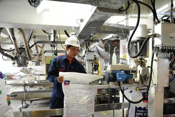 Đạm Cà Mau sắp chi hơn 423 tỷ đồng trả cổ tức