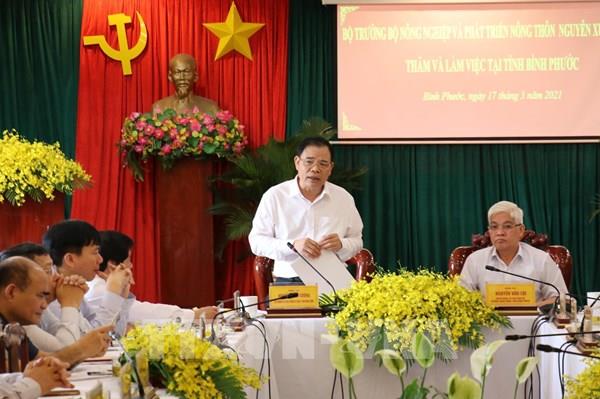 Bình Phước: Cần xây dựng Đề án phát triển cây điều thành cây trồng chủ lực