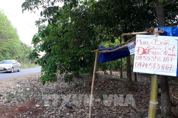 "Đón" quy hoạch - sốt đất từ hiệu ứng đám đông