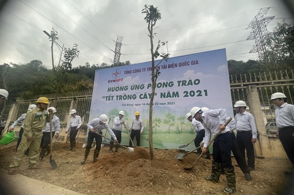 EVNNPT hưởng ứng phong trào “Tết trồng cây”