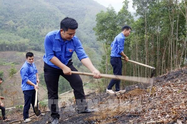 Tuổi trẻ Thông tấn xã Việt Nam trao tặng 10.000 cây xanh tại Hòa Bình