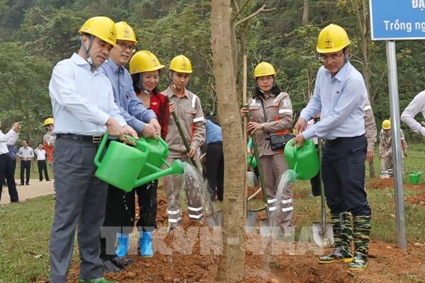 EVNNPC phát động trồng hơn 100.000 cây xanh