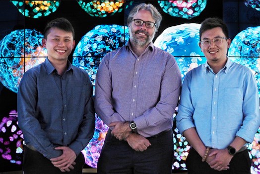 Phát hiện đột phá: Phôi nang đầu tiên được tạo ra từ tế bào người