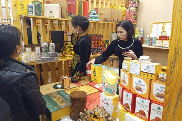Sẽ có 20 sản phẩm được công nhận sản phẩm OCOP 5 sao