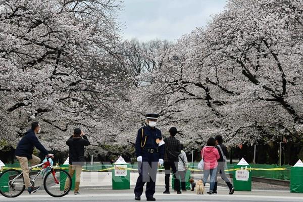 Việt Nam vượt Hàn Quốc thành cộng đồng người nước ngoài lớn thứ 2 ở Nhật Bản