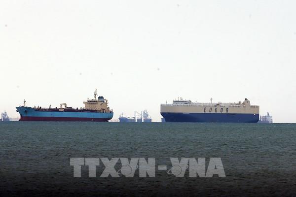 Tàu mắc kẹt ở Suez: Doanh nghiệp ảnh hưởng sớm cung cấp thông tin cho Thương vụ Việt Nam