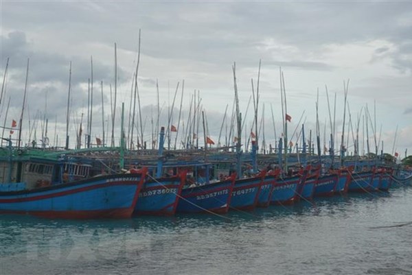 Khánh Hòa sẽ xử phạt nghiêm tàu cá khai thác IUU