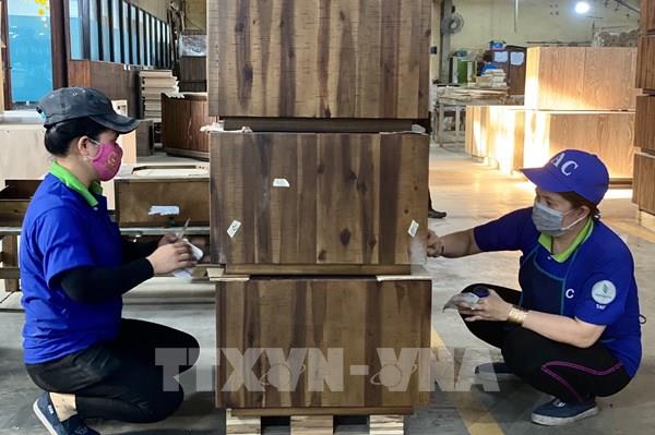 Ứng phó với biến động thị trường lao động