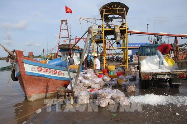 Tiến độ Dự án nâng cấp mở rộng cảng cá Gành Hào rất chậm