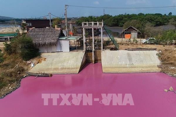 Xử phạt doanh nghiệp 372 triệu đồng vì xả chất thải không qua xử lý ra môi trường