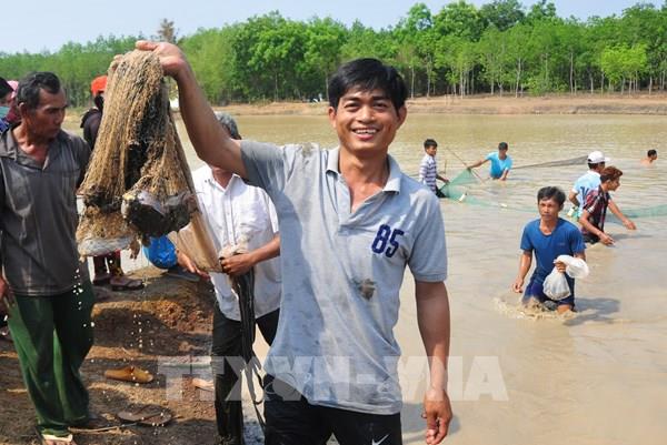 Lễ hội Phá Bàu được công nhận là Di sản Văn hóa phi vật thể quốc gia