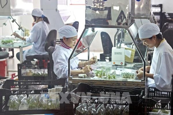 Tăng khả năng thích ứng trước những tác động để đạt mục tiêu xuất khẩu