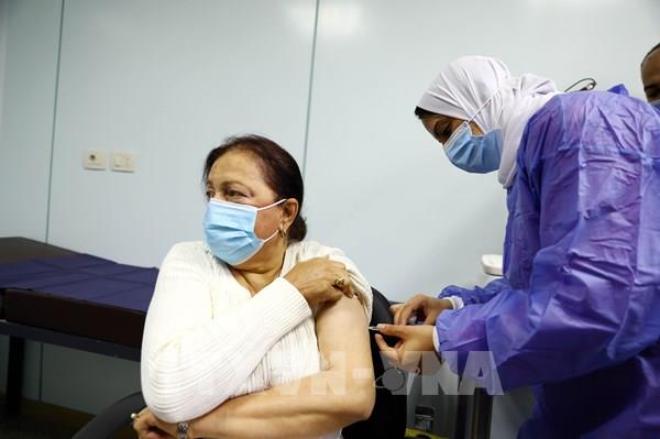 WB: Kinh tế Ai Cập sẽ tăng trưởng chậm lại trong tài khóa 2020-2021