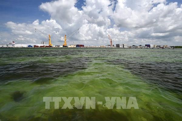 Mỹ tìm cách khắc phục sự cố rò rì hồ nước thải