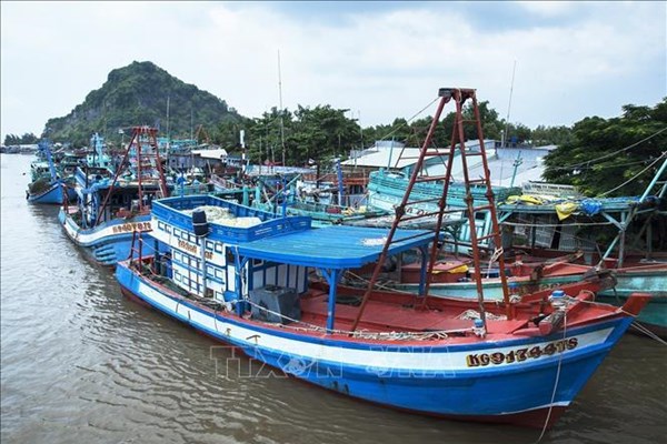 Hết năm 2021, Kiên Giang chấm dứt khai thác hải sản bất hợp pháp