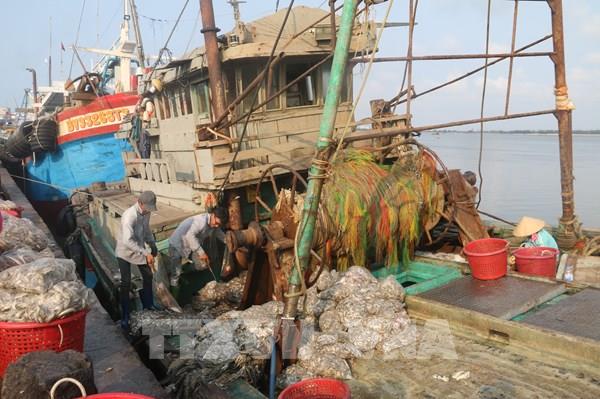 Gỡ thẻ vàng IUU còn những bất cập gì?