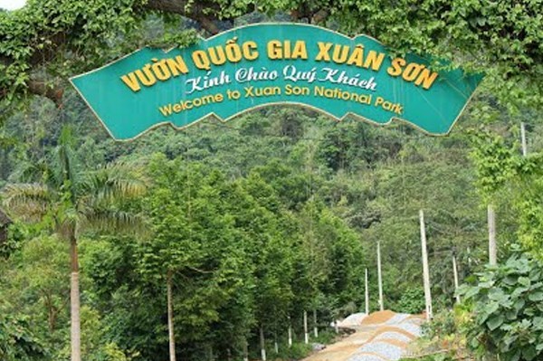 Kỷ luật tổ chức, cá nhân để xảy ra phá rừng đặc dụng tại Vườn Quốc gia Xuân Sơn