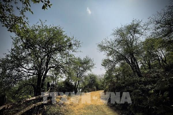 Đỉnh Lùng Cúng - điểm du lịch trải nghiệm hấp dẫn ở Yên bái