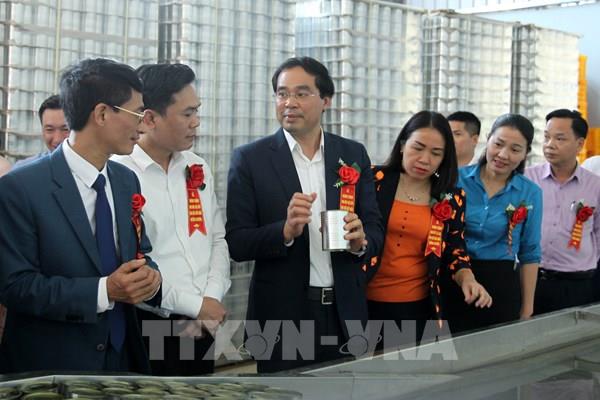 Khánh thành Nhà máy chế biến rau quả xuất khẩu Mường Khương