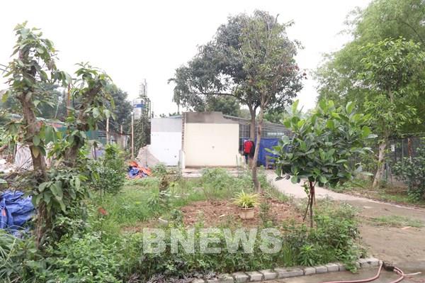 Xử lý trách nhiệm nếu để xảy ra vi phạm trong quản lý trật tự xây dựng