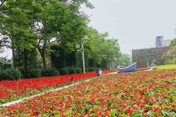 Ngày mai 10/4 sẽ diễn ra lễ hội hoa Sầm Sơn