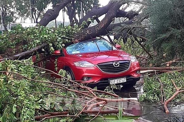 Thành phố Hồ Chí Minh: Xảy ra hàng loạt sự cố do mưa lớn