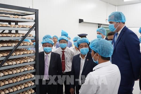 Khánh thành nhà máy ấp trứng gia cầm công nghệ cao