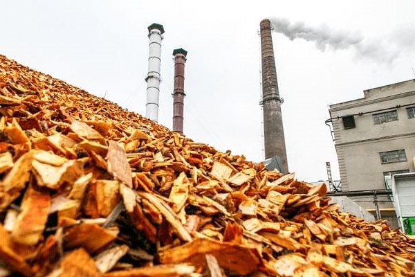 Nhật Bản có thể đạt 7,2 GW điện sinh khối vào năm 2030