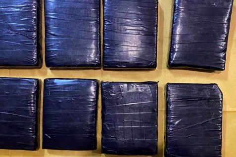 Singapore thu giữ cần sa có quy mô lớn nhất trong 25 năm