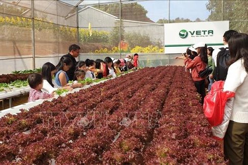 Chính thức vận hành hệ thống tiếp nhận phản ánh về dịch vụ du lịch