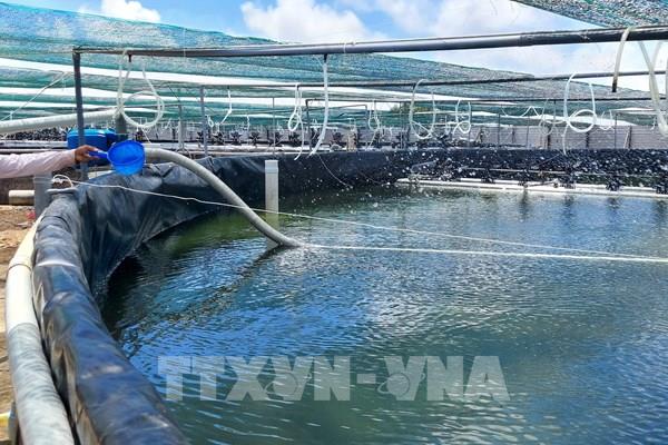 Bến Tre nỗ lực vượt dịch COVID-19, kinh tế tăng trưởng ấn tượng