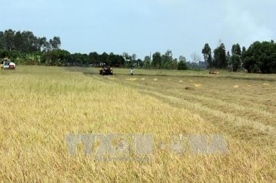 Trường hợp nào được giao đất không qua đấu giá?