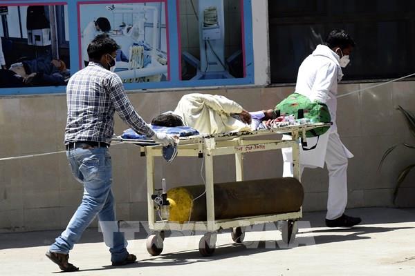 WHO kêu gọi áp dụng những bài học từ dịch COVID-19 ứng phó với các loại siêu vi khuẩn