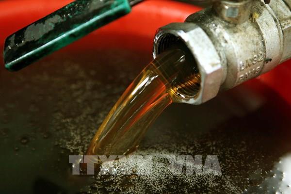Mật ong Việt Nam có nguy cơ bị điều tra chống bán phá giá