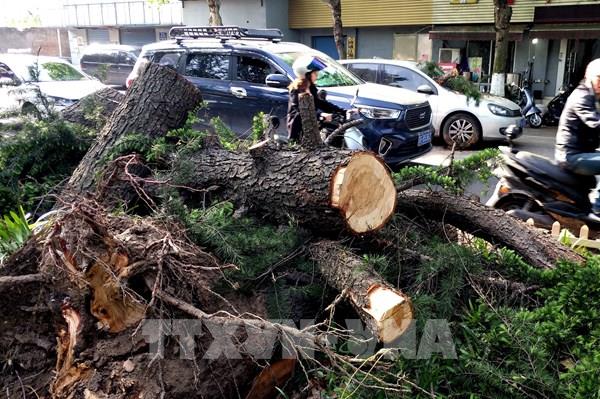 Trung Quốc: Bão mạnh làm hơn 100 người thương vong