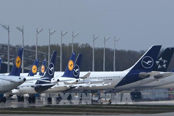Lufthansa sử dụng công nghệ "da ca mập" trang bị cho máy bay