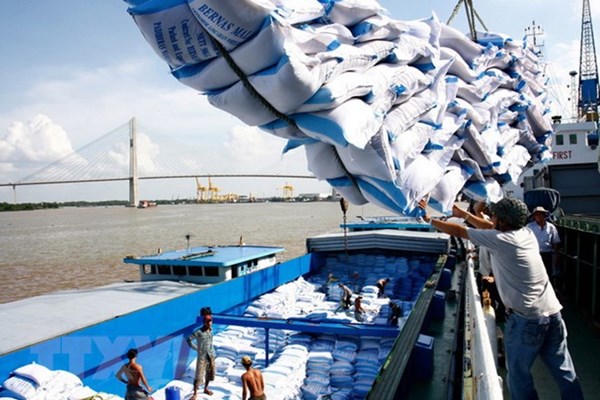 Bộ Nông nghiệp Mỹ dự báo Việt Nam sẽ tiếp tục đứng thứ 2 về xuất khẩu gạo