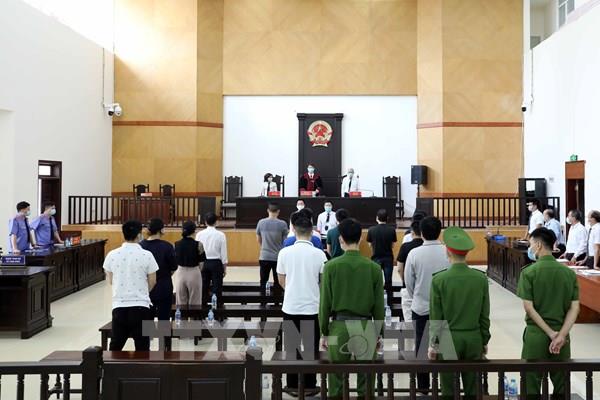 Ngày mai (29/11), xét xử phúc thẩm vụ án công ty Nhật Cường