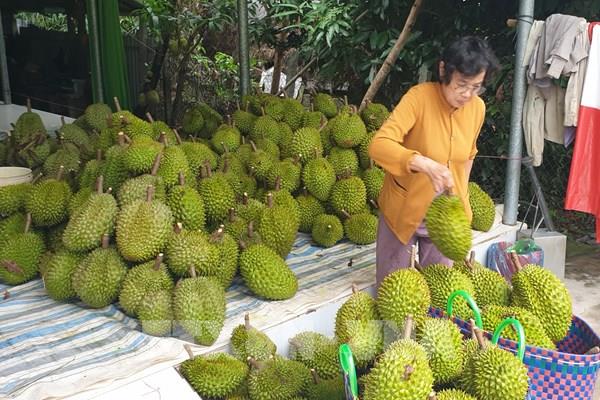 Quý II/2022, Nam Bộ sẽ cung ứng khoảng 1,2 triệu tấn trái cây chủ lực