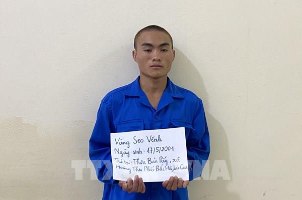 Công an Lào Cai khởi tố đối tượng giết em trai để giành quyền thừa kế